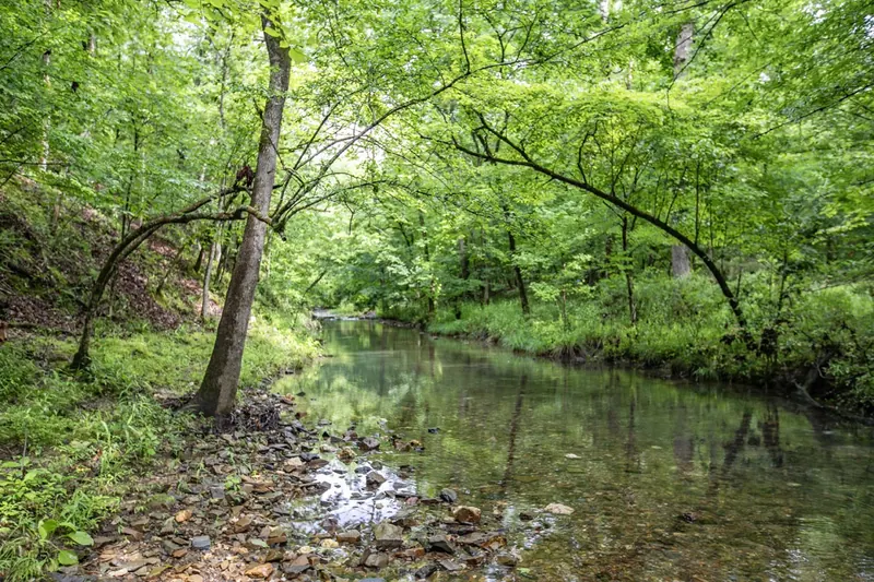 Dewy Bluffs -1 BR-Creekside-Timber Creek Trails