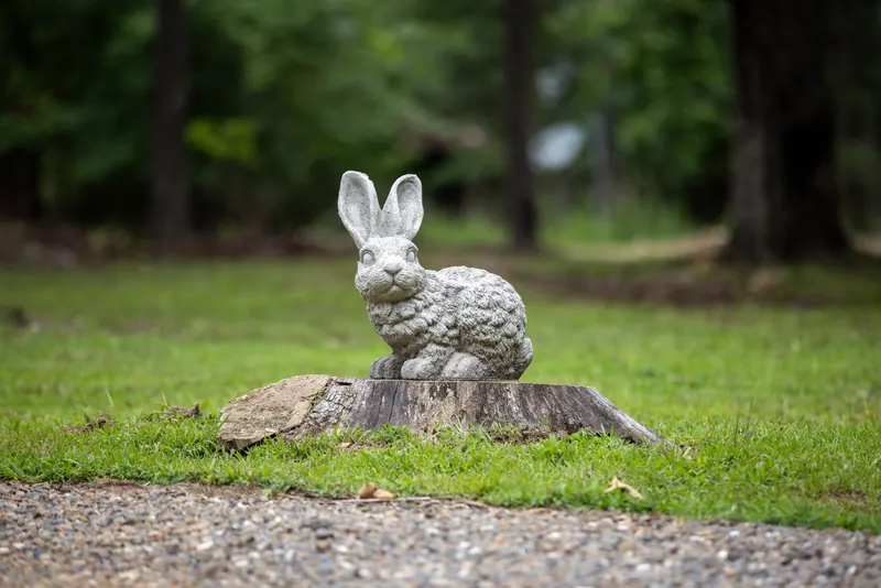Runaway Rabbit